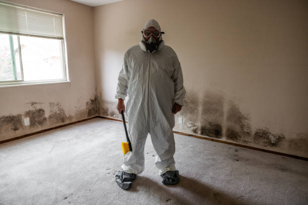 Professional Mold Remediation in Marianna, FL